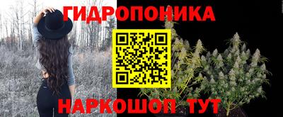 тгк Краснодар